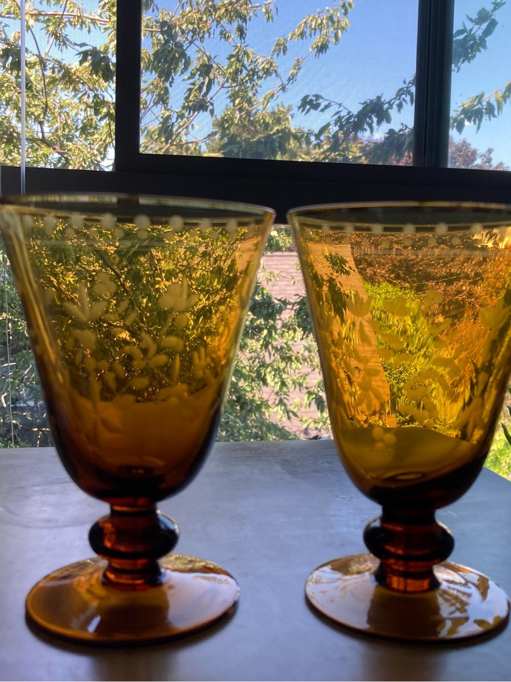 Etched Amber Glass Goblets – Set of 2